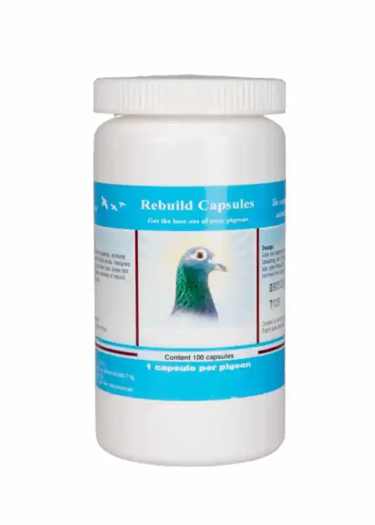 REBUILD-CAPSULES PIGEON VITALITY REBUILD CAPS 100S - Image 1