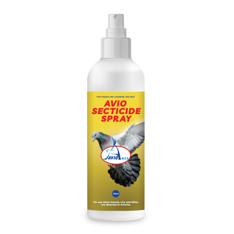 Secticide Spray AVIO SECTICIDE SPRAY CONCENTRATE 250ML - Image 1