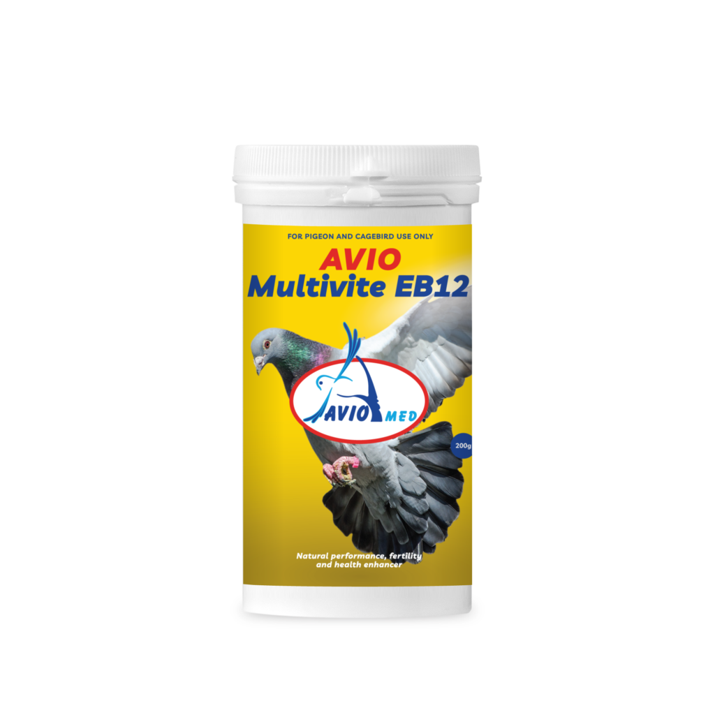 POS_MULTIVITEEB12 AVIO MULTIVITE EB12 200G - Image 1