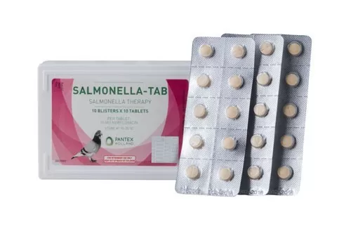 SALMONELLA TAB PANTEX SALMONELLA-TAB 100 TABS - Image 1