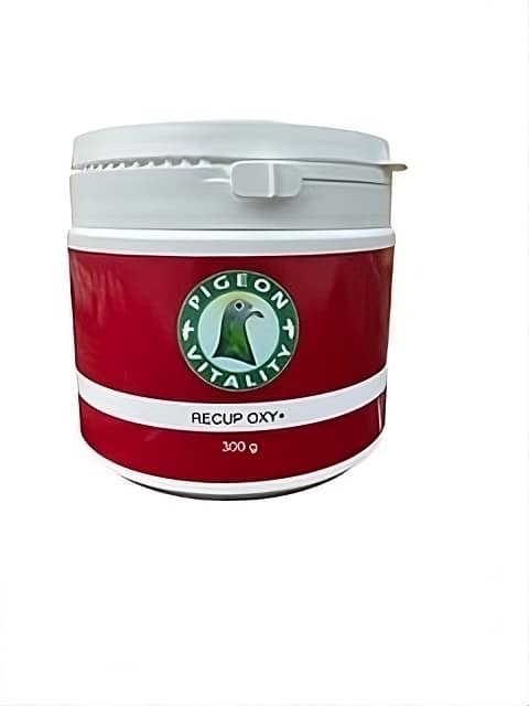 unnamed-ay9bb6x4R-transformed RECUP-Oxy-Plus - Image 1